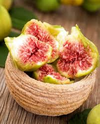 Below are the most common reasons for this fig tree problem. Fig Tree Ischia Green Variety