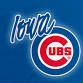 Worcester Red Sox at Iowa Cubs
