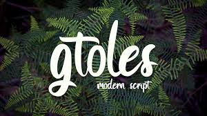 Gtoles Free Font Script Fonts Modern Script Font Typography Logo