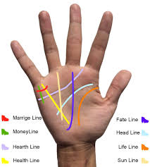 A Guide To Palm Reading With Pictures How To Read Your Own Palm Palm Reading Palmistry Reading Palm Reading Lines