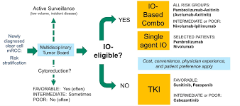 Frontline Therapy For Mrcc Is Two Better Than One