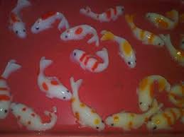 Cetakan puding ikan koi dapat menjadikan puding buatan anda lebih unik dan menarik. Contoh Gambar Teknik Mewarnai Puding Ikan Koi Kataucap