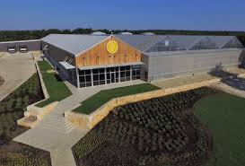 Maybe you would like to learn more about one of these? 365 Days Of Lettuce Growing In Belton Texas