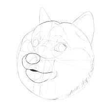 Doge needs to be nutered. Krobknea Such Tutorial Many Fun How To Draw Doge