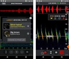 The simple bat detector uses frequency division to lower the bat's chirping to a frequency we can hear. Echo Meter Touch Bat Detector Recorder Analyzer Apk Download For Windows Latest Version 2 8 3