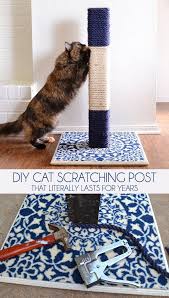 Posts About Animals On Do It And How Diy Cat Scratching Post Diy Cat Scratcher Cat Scratching Post