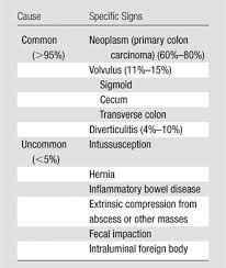 Coffee table size and shape guide #home #style. Large Bowel Obstruction In The Adult Classic Radiographic And Ct Findings Etiology And Mimics Radiology
