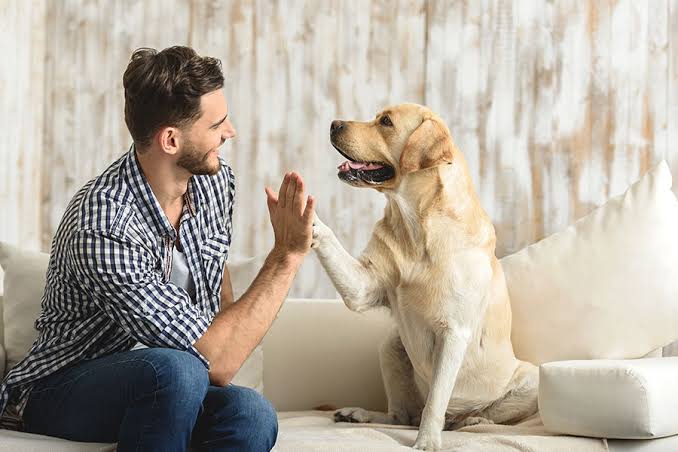 6 Important Pet Sitting Tips - Pet Services at your doorstep