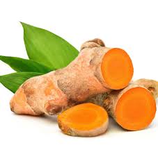 Image result for Curcuma