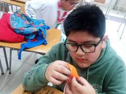 Patricio Bustamante Soto