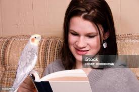 Woman Buying Parrot In Pet Store Stock Photo