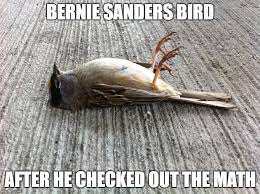 Birdie Sanders Imgflip