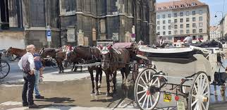 402 fiaker bilder und fotos. Fiaker Wien Carriage Ride Company Vienna Tripadvisor