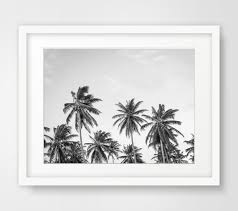 Black And White Palm Tree Wall Art Palm Tree Digital Print Palm Tree Wall By Melindawooddesigns Palmtreeprints Palm Tree Wall Art Online Wall Art Instant Art