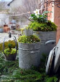 Ohne Moos Nix Los Und Der Wunsch Nach Ein Bisschen Fruhling Garden Care Garten Design Pflanzen