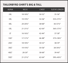 Tailorbyrd Solid Long Sleeve Polo Big Tall Hautelook