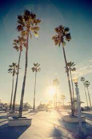 Nature california wallpaper hd 5. 49 California Iphone Wallpaper On Wallpapersafari