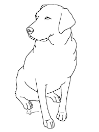 Labrador realistic dog coloring pages. Labrador Dog Coloring Pages Dog Coloring Page Puppy Coloring Pages Dog Coloring Book