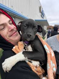 We welcomed Martin and his German Shepherd, Luna, Connor, and his cat, Soft  Paw, as well as Christian with his six-month-old pup, Winter, to our  November 9th Street Clinic in Decatur, IL.