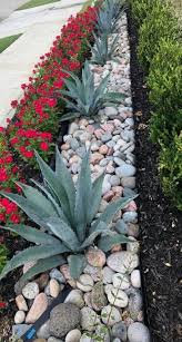 41 Trendy Plants Flowers Aloe Vera Rock Garden Landscaping Stone Landscaping Front Yard Landscaping Design