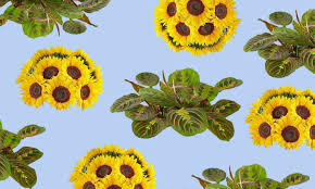 We did not find results for: Forget Color Of The Year Here Are The Plant And Flower Of The Year Architectural Digest