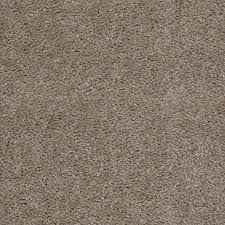 Shaw Floors Nest Egg Wildwood Shaw Floors Carpet Tiles Carpet