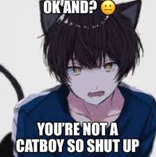 Cat Boys Funny Memes Cute Memes Catboy