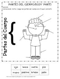 Do you know the parts of a plane? Free Spanish Girl And Boy Body Parts By Rosanna Robertson Tpt