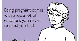 Pin On Funny