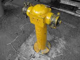 Bilangan di dalam bahasa inggris terbagi dua macam, yaitu cardinal number (bilangan biasa) dan ordinal number (bilangan bertingkat. What Is Pili Bomba In English