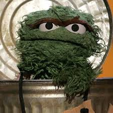 Image result for oscar the grouch