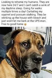 Pin On Funny Humor