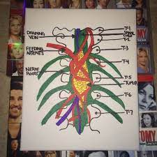 Greys Anatomy Canvas Greys Anatomy Anatomy Grey Anatomy Quotes