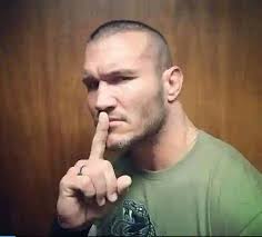 Randy Orton is a snake but what kind