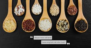 Struktur jintan manis adalah lebih kasar dari jintan putih 2. Fakta Menarik Tentang Beras Yang Wajib Anda Tahu Lepas Ini Jangan Tertipu Beli Beras Tiruan Pula Nona
