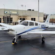 Image result for Piper