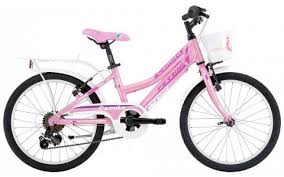 20 inch sunt 8 produse. Bicicleta Copii Ferrini Camilla 6v Roz 255 Mm 20 Inch