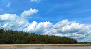 Masuk 200m dari jalan lamaru pinggir pantai lamaru view selat makasar. Pantai Lamaru Htm Rute Foto Ulasan Pengunjung