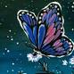 Butterfly Blossoms