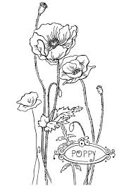 Free Printable Flower Coloring Pages For Kids Best Coloring Pages For Kids Poppy Coloring Page Poppy Drawing Flower Coloring Pages