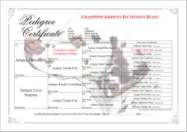 Dog Pedigree And Breeding Software For Breeders Tenset