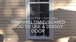 How much does the dog door cost? 10 Best Dog Doors In 2021 Reviews Top Picks Guide Doggie Designer