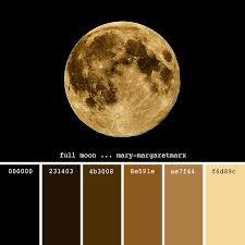 Black And Gold Website Color Scheme Full Moon Mary Margaretmarx Color Colors Colour Colours Colorpalette Colorpalettes C Black Color Palette Brown Color Palette Color Combinations Home