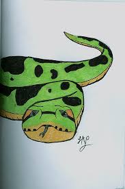 Green Anaconda Sketch By Hyerdon On Deviantart Download green anaconda drawing png image for free. green anaconda sketch by hyerdon on