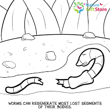 All coloring pages » animals » annelid » earthworm » one earthworm. Earthworms Coloring Page 13 Nature Gift Store
