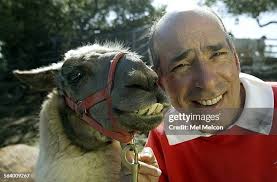 206 Llama Goats Stock Photos, High-Res Pictures, and Images