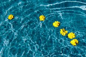 Hd Wallpaper Yellow Rubber Ducky Floating On Clear Water Summer Warm Beach Wallpaper Flare