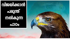 Download Parunth Mp4 Mp3 3gp Daily Movies Hub The screenplay written by t.a.rasaq. daily movies hub