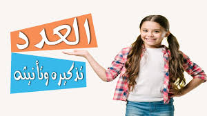 بحث عن العدد في اللغة العربية موسوعة