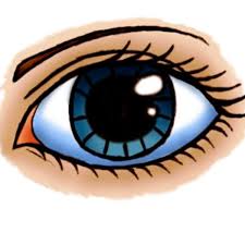 Check spelling or type a new query. How To Draw A Cartoon Eye Female Feltmagnet